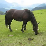 Kachelofenwohnung Poelzleitner Appartement *