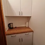 Appartement Kachelofenwohnung Poelzleitner Annaberg im Lammertal