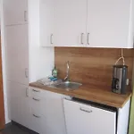 Kachelofenwohnung Poelzleitner Annaberg im Lammertal