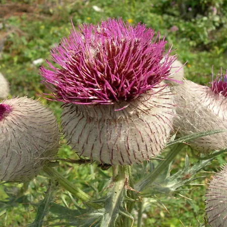 Kachelofenwohnung Poelzleitner アンベルク・イム・ランマータール