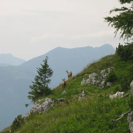 Apartmán Kachelofenwohnung Poelzleitner *