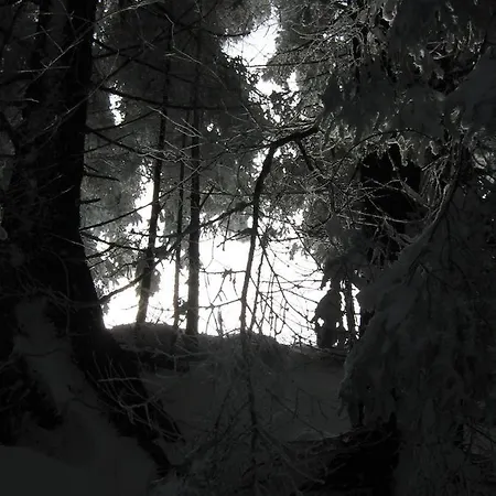 Kachelofenwohnung Poelzleitner Apartmán