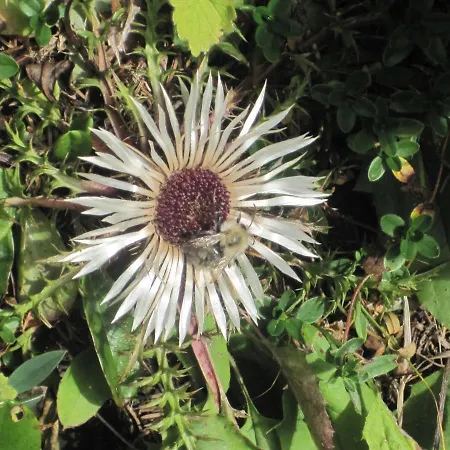 アパート Kachelofenwohnung Poelzleitner *