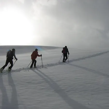 Daire Kachelofenwohnung Poelzleitner *