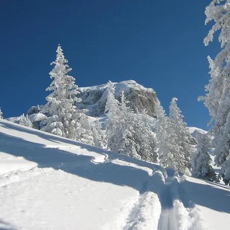 アパート Kachelofenwohnung Poelzleitner *