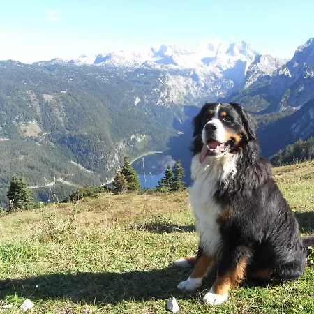Kachelofenwohnung Poelzleitner Daire *