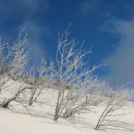 Kachelofenwohnung Poelzleitner アパート