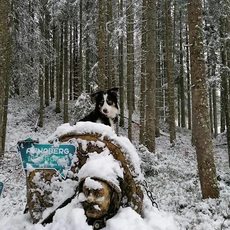 Daire Kachelofenwohnung Poelzleitner Annaberg im Lammertal