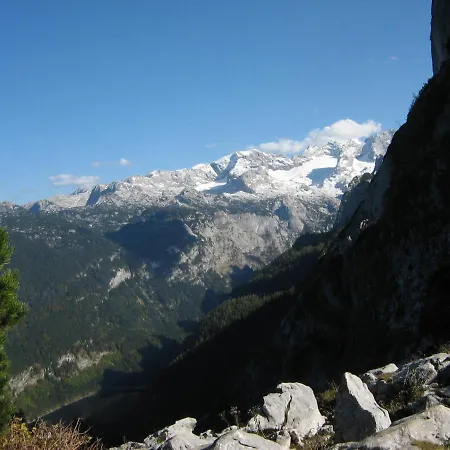 Kachelofenwohnung Poelzleitner