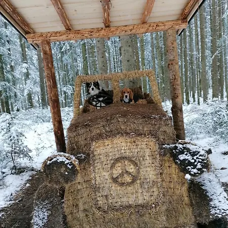 Kachelofenwohnung Poelzleitner