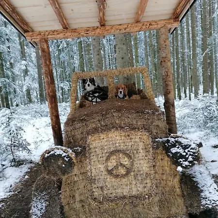 Kachelofenwohnung Pölzleitner