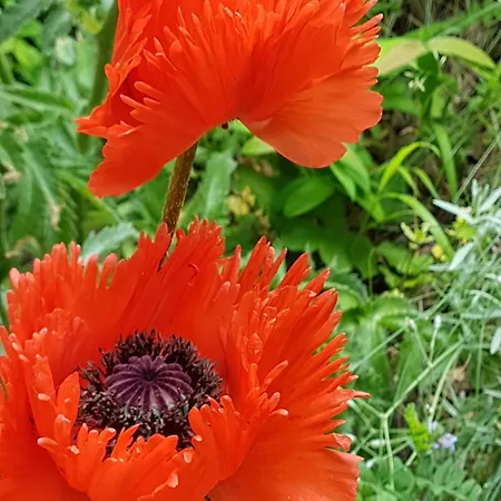 Kachelofenwohnung Poelzleitner Daire Annaberg im Lammertal