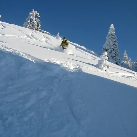 Kachelofenwohnung Poelzleitner *