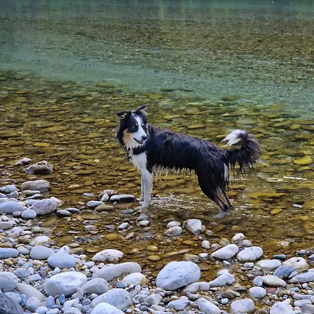 Kachelofenwohnung Poelzleitner