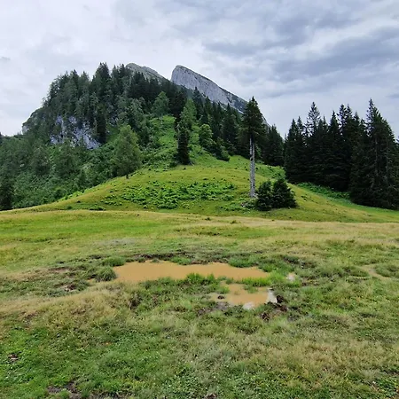 Apartmán Kachelofenwohnung Poelzleitner *