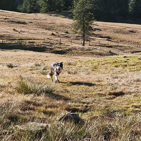 Kachelofenwohnung Poelzleitner * Annaberg im Lammertal