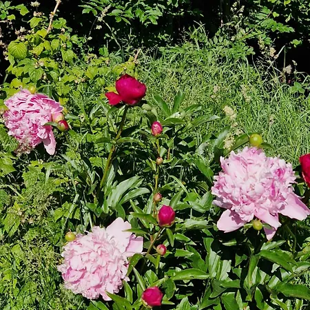 Apartmán Kachelofenwohnung Poelzleitner *