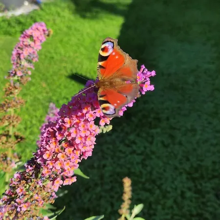 Kachelofenwohnung Poelzleitner Apartmán Annaberg im Lammertal
