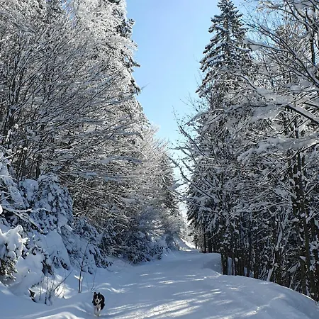 Daire Kachelofenwohnung Poelzleitner *